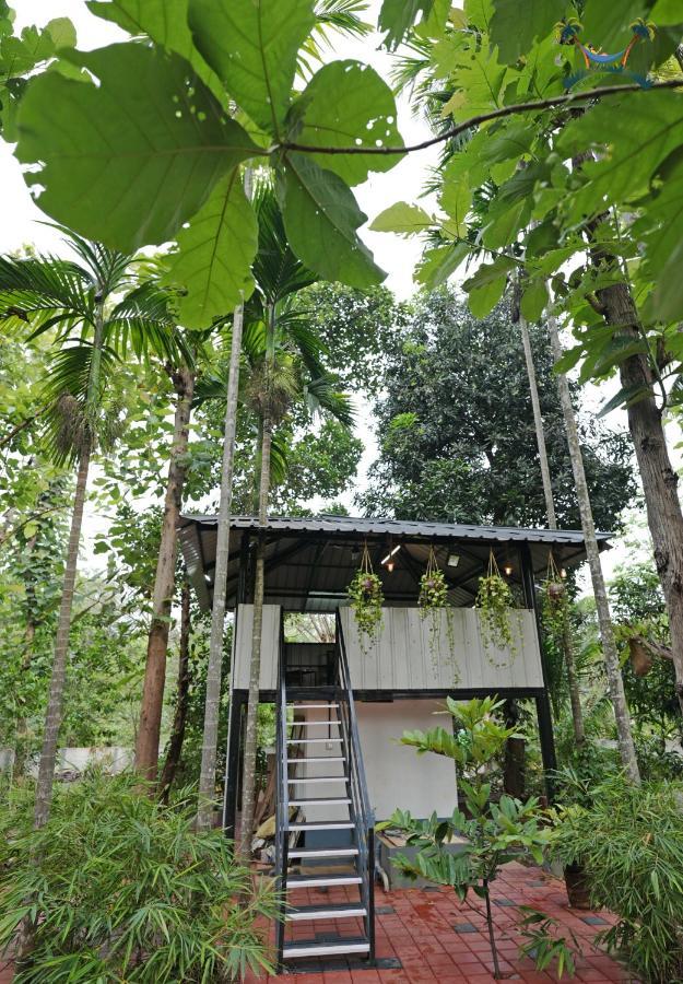 Serenity Villa And Treehouse Palakkad Bagian luar foto