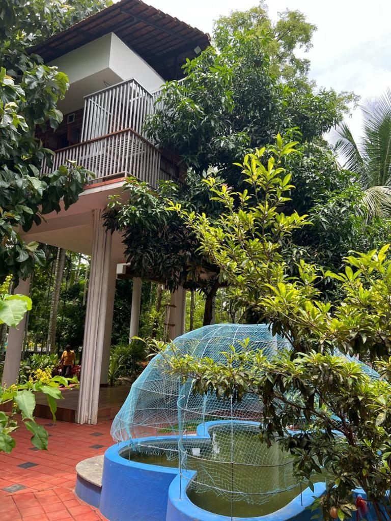 Serenity Villa And Treehouse Palakkad Bagian luar foto